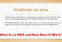 What Is an HOA and How Does It Work?